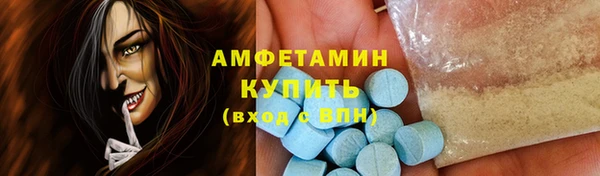 гидра Ессентукская