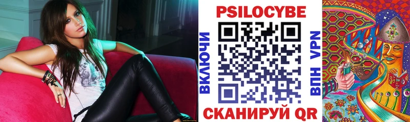 Псилоцибиновые грибы MAGIC MUSHROOMS  omg как зайти  нарко площадка телеграм  Среднеколымск 